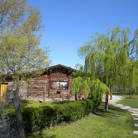 Cascina Beneficio Villa Castelnuovo Bormida Dış mekan fotoğraf