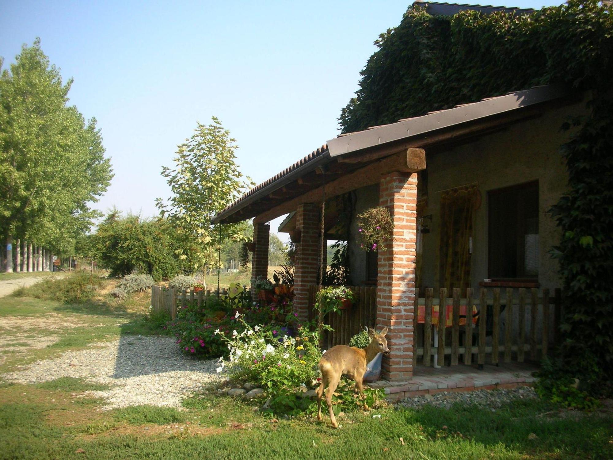 Cascina Beneficio Villa Castelnuovo Bormida Dış mekan fotoğraf